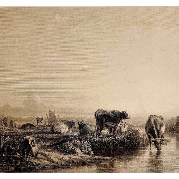 1870s The Rest At Eve Steel Engraving Victorian Tennant Farm Animals DWXX8 - Picture 1 of 2